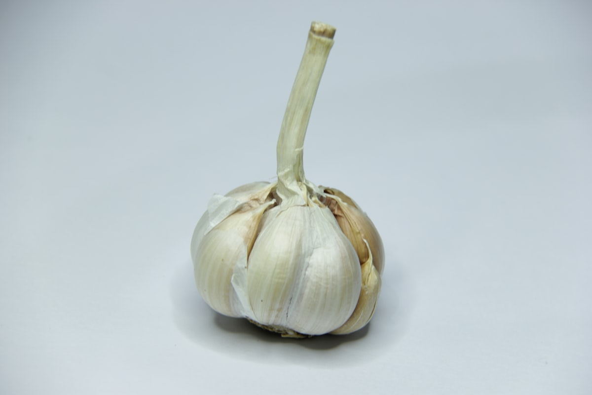 Piatti nutrizionali equilibrati